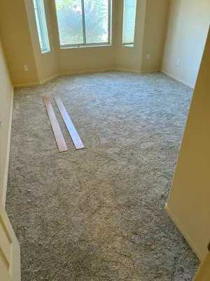 Click to enlarge image