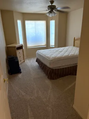 Click to enlarge image