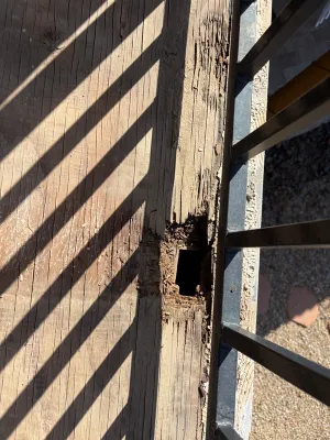 Click to enlarge image