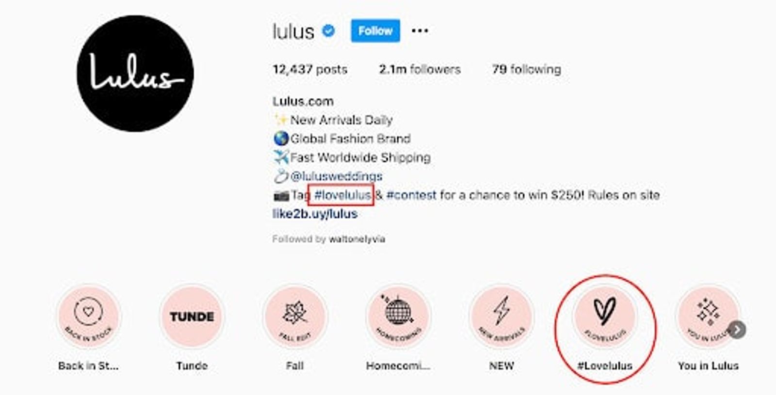 Campaña de hashtag de Lulu's amor a Lulus