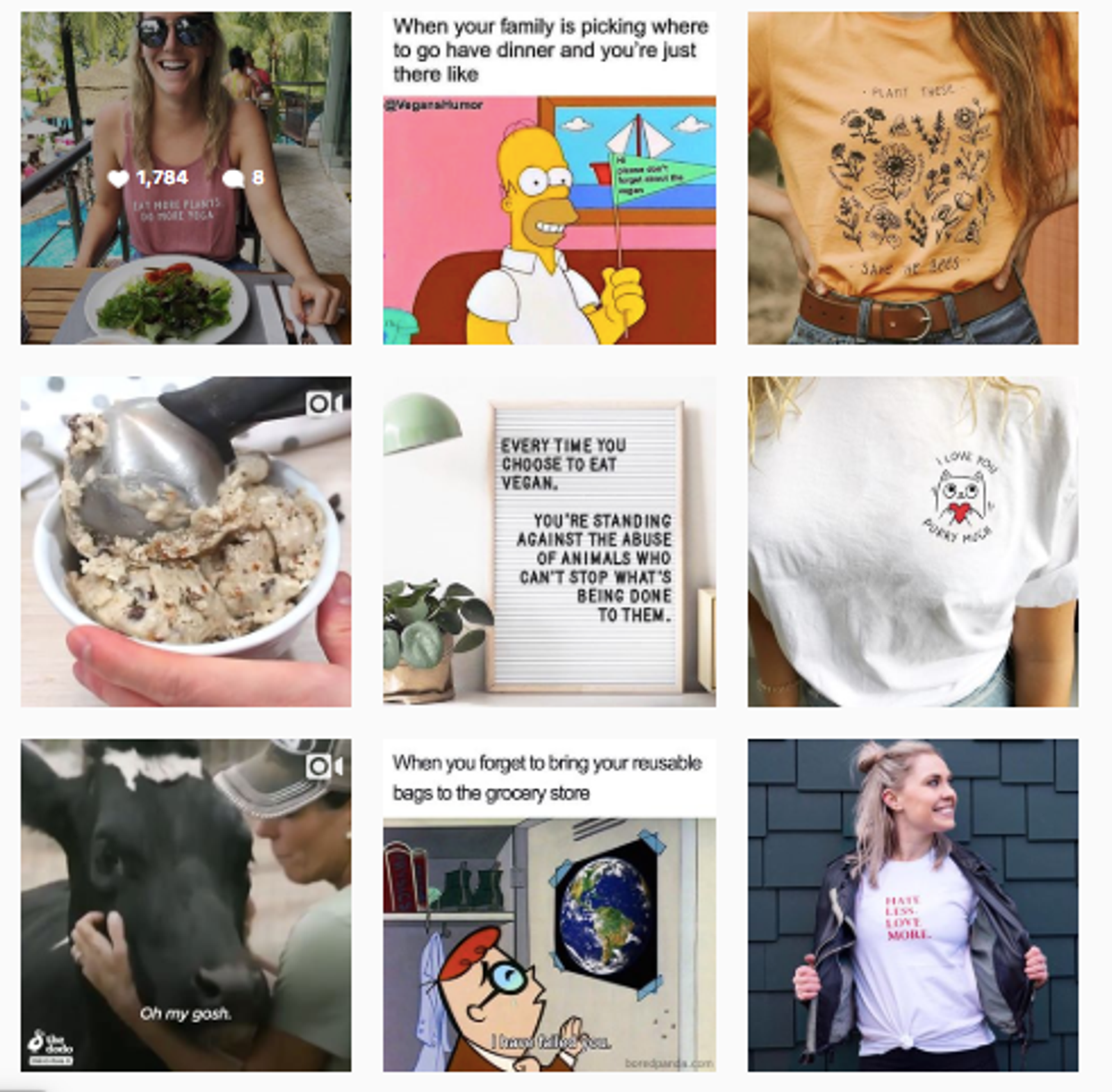La estrategia de contenido en redes sociales de Wholesome Culture incluye frases motivadoras, imágenes de animales, recetas veganas y consejos para aquellos interesados en adoptar un estilo de vida vegano y ecológico.