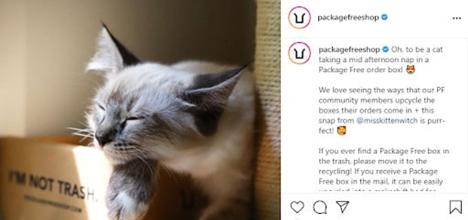 Publicación de Instagram de packagefreeshop con un gato dormitando en una caja de cartón, junto con el texto del pie de foto.