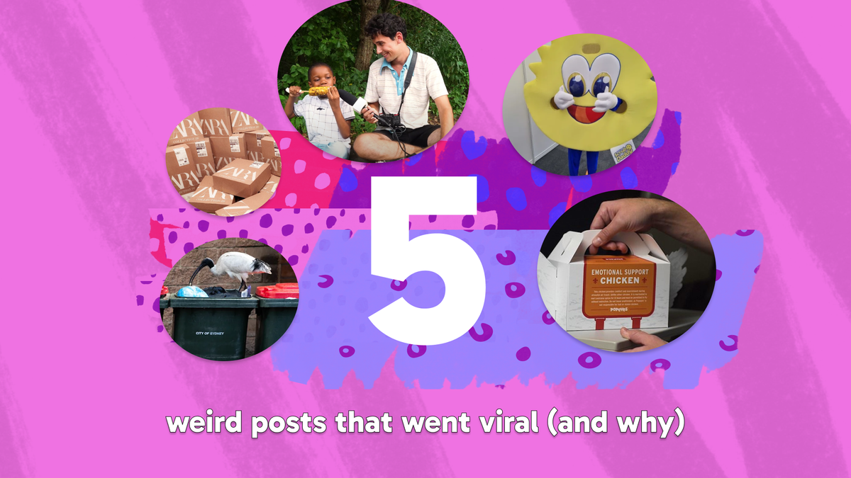 Pink and purple background with a large white number 5. Five circular images show people, objects, and animals.