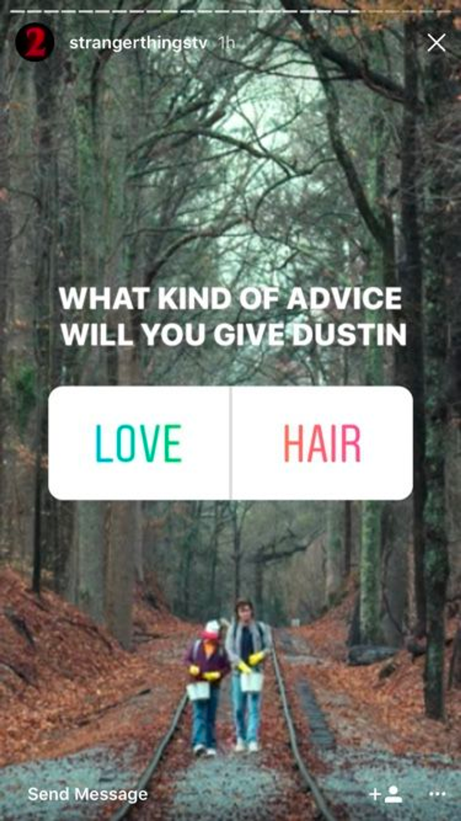 Instagram Story poll from strangerthingstv asking what advice to give Dustin, with Love and Hair options.