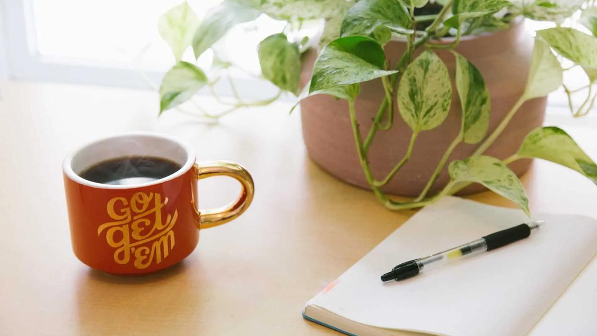 A steaming mug reading 'Go Get 'Em' beside a notebook, pen and potted plant on a desk