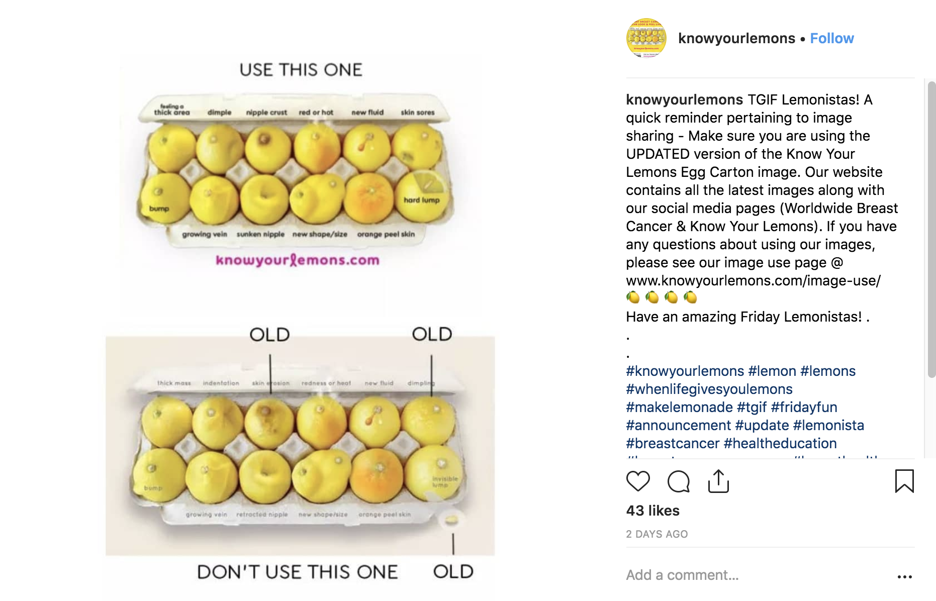 Mejores Campañas de Instagram 2018 - Conoce tus Limones - Sked Social