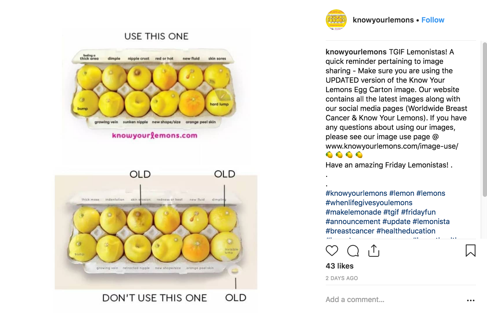 Mejores Campañas de Instagram 2018 - Conoce tus Limones - Sked Social