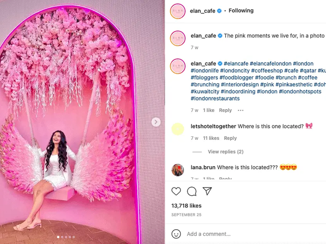 Instagram post from elan_cafe showing a woman on a pink winged swing under a floral arch