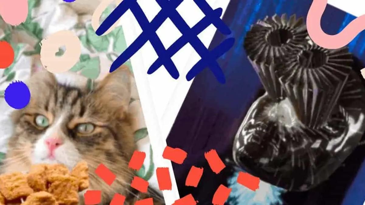 Two photos, one of a cat with treats, one of a dark sculpture, with colorful abstract shapes over them.