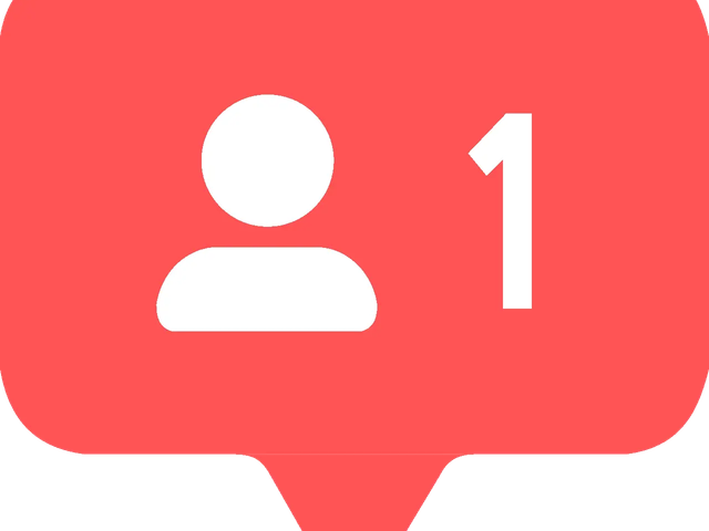 Instagram Followers Gain