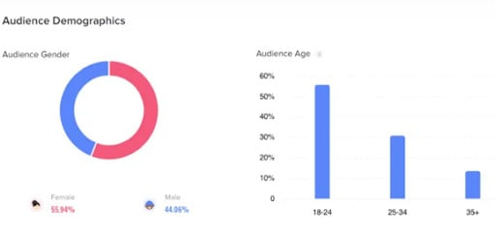 Pantalla de desglose demográfico de TikTok