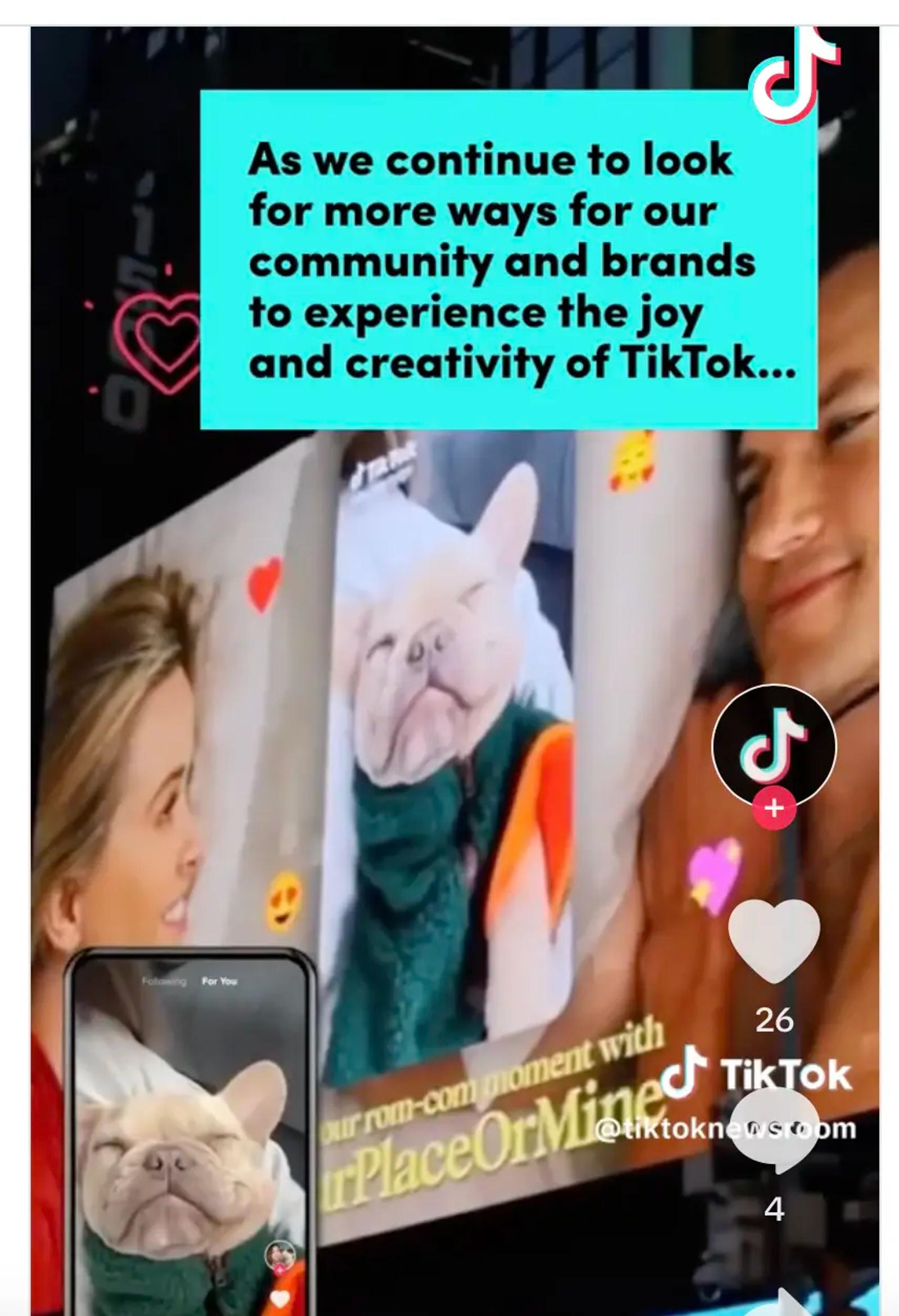 Video de TikTok con texto sobre un teléfono y una valla publicitaria con el mismo contenido de un perro.