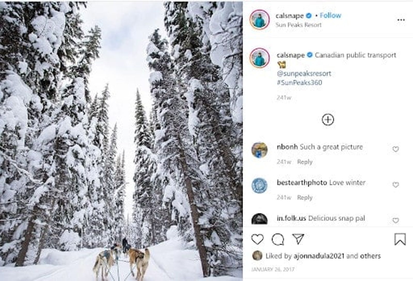 Publicacion de Instagram de @calsnape con un trineo tirado por perros en un sendero nevado en Sun Peaks Resort.