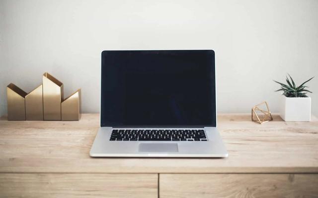 A laptop with a blank dark screen on a wooden desk with decor and a small plant