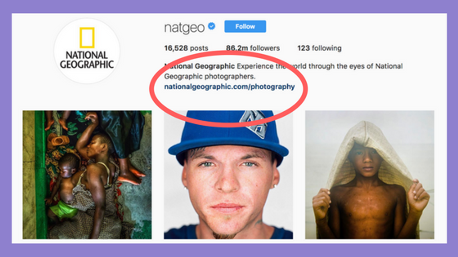 links in your Instagram bio