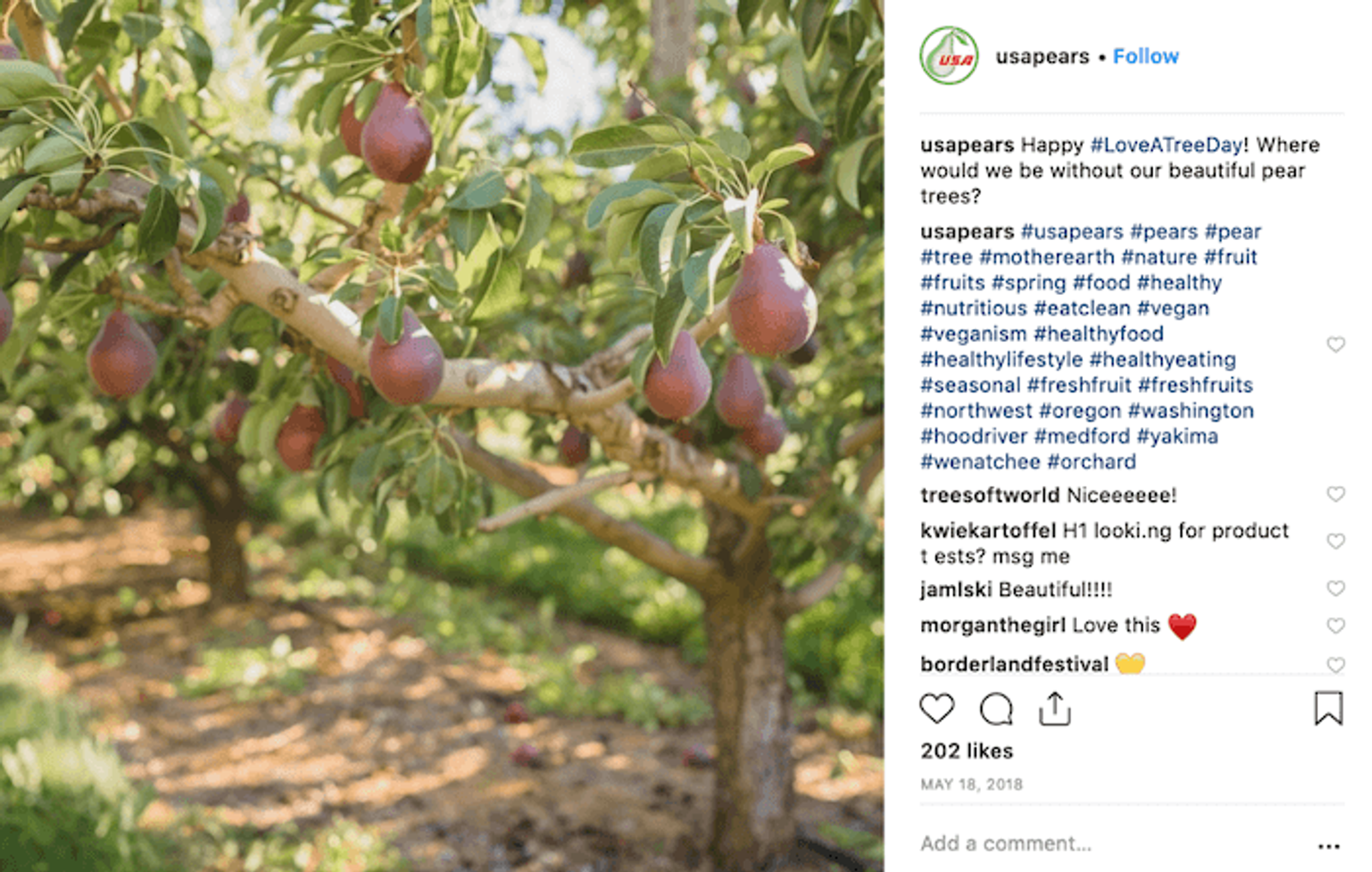 Ideas de campaña en redes sociales para mayo - Día del Árbol - Sked Social