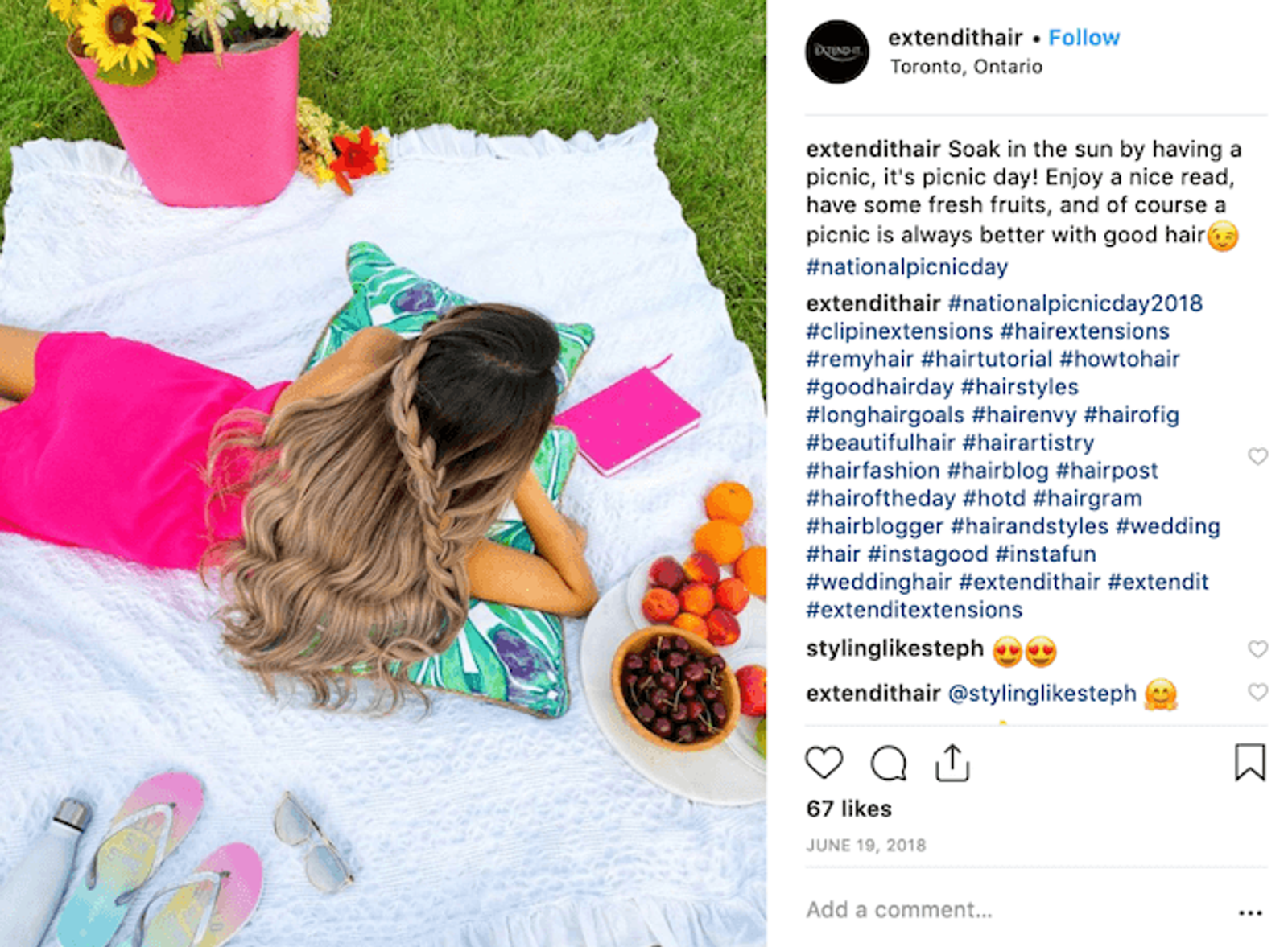 Campaña de Redes Sociales del Día del Picnic