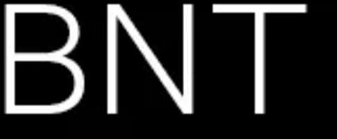 Bras N Things logo