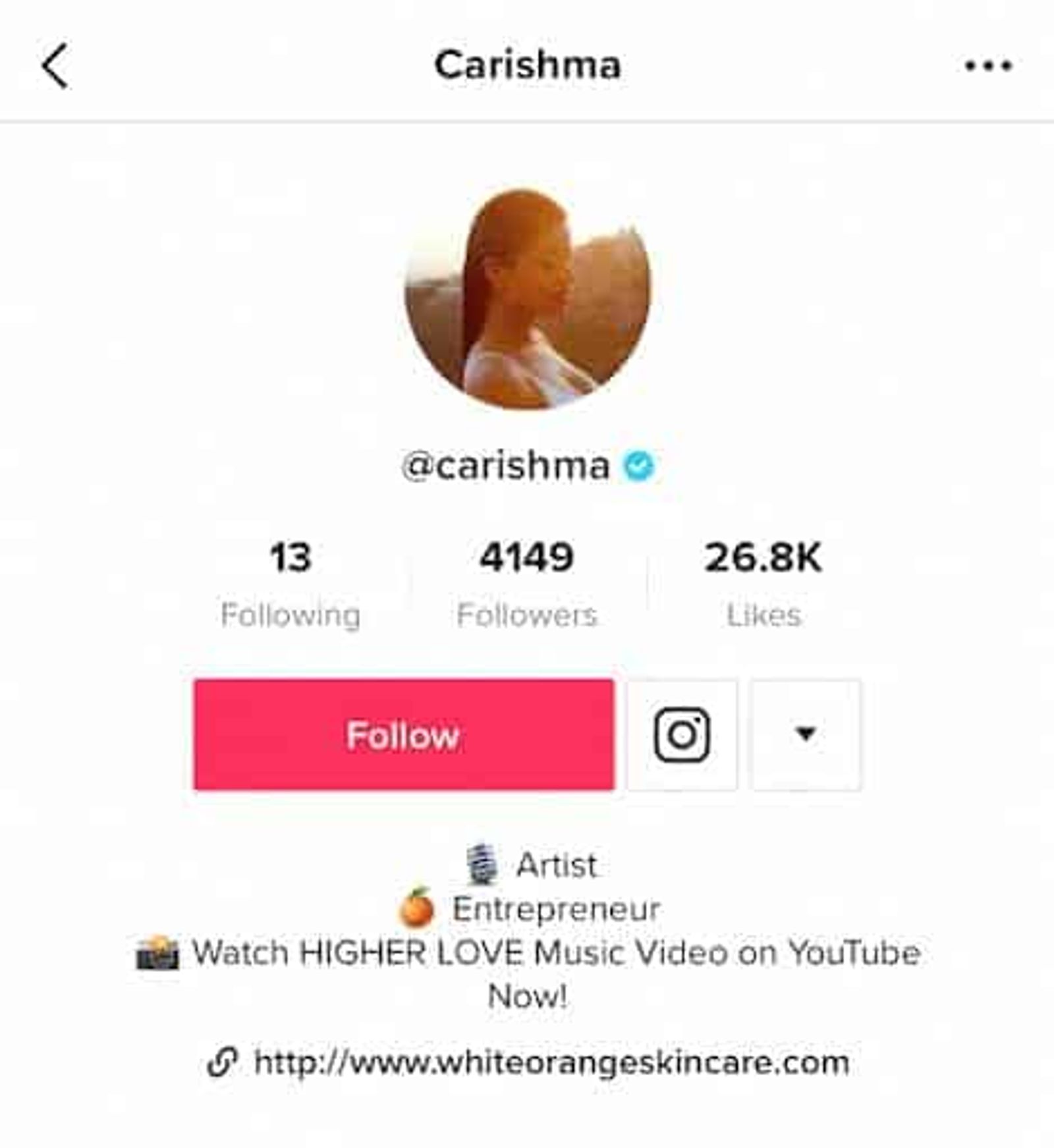 Un perfil de TikTok con un enlace a Instagram