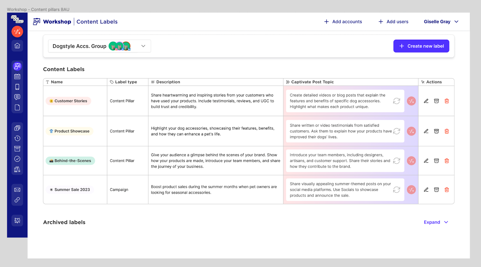 Sked Social content labels table listing pillar names, types, descriptions and post topics for a workspace.