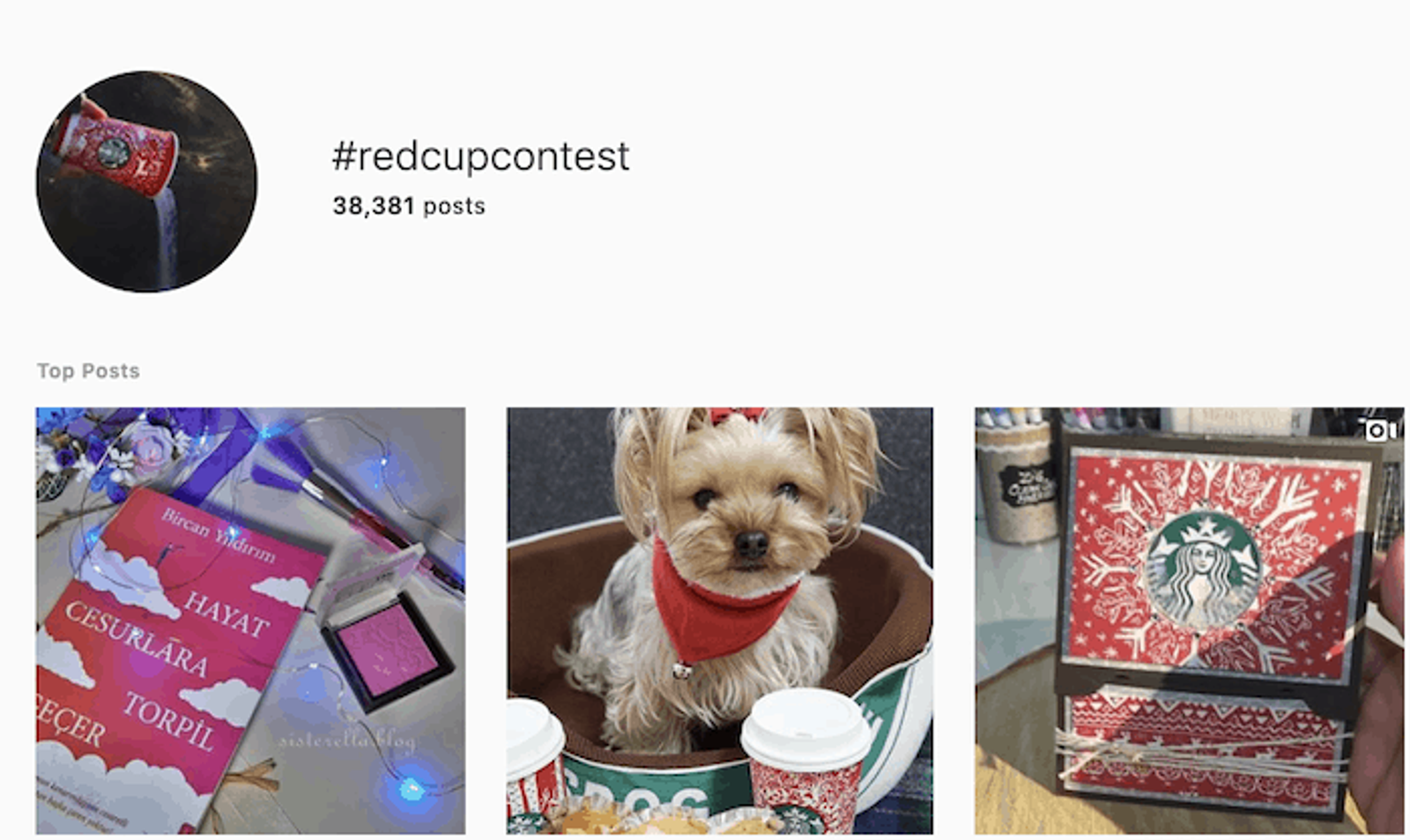 Contenido Generado por el Usuario - Red Cup - Sked Social