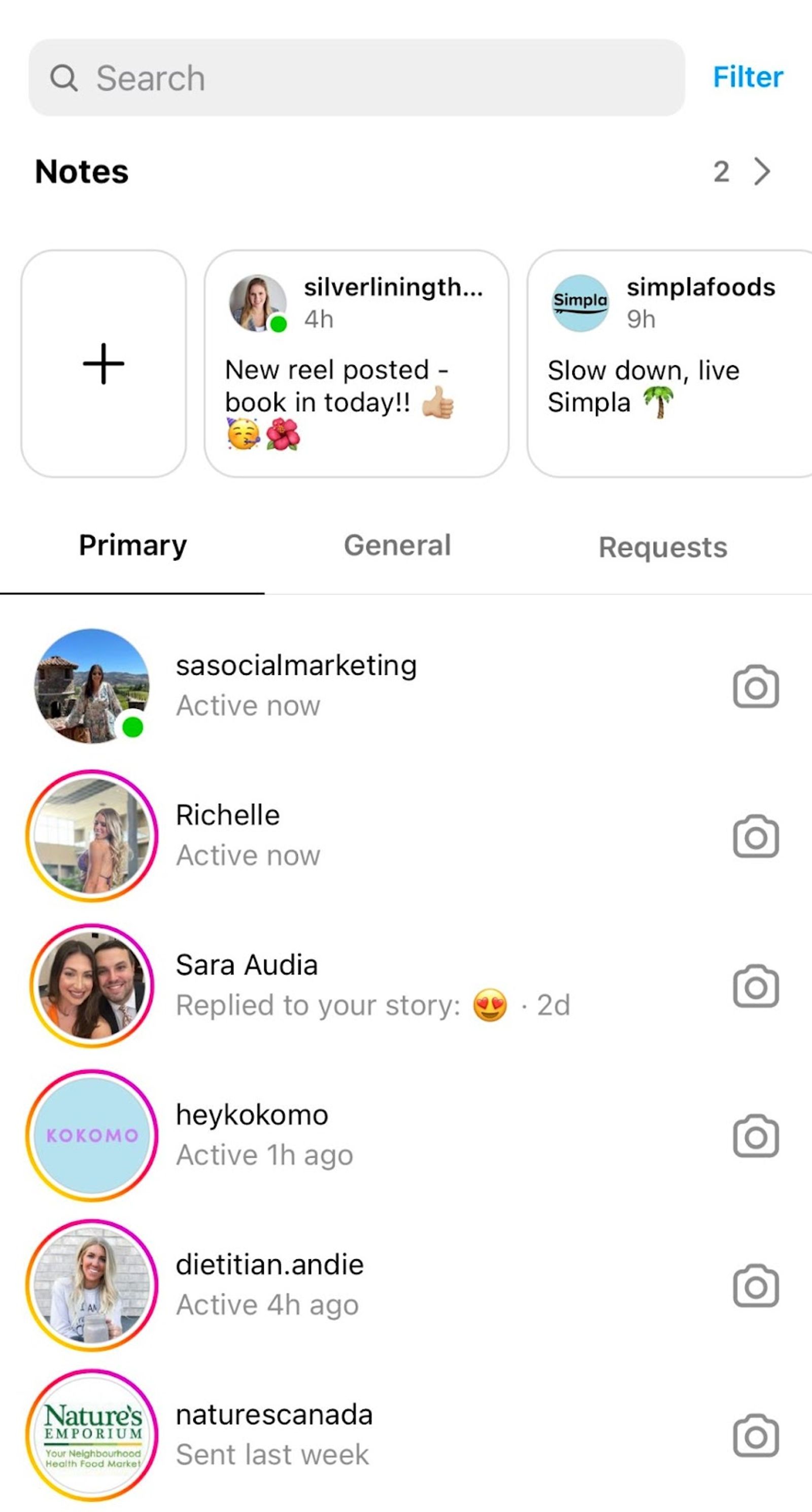 Instagram inbox showing Notes, tabs for Primary, General and Requests, and a list of message threads.