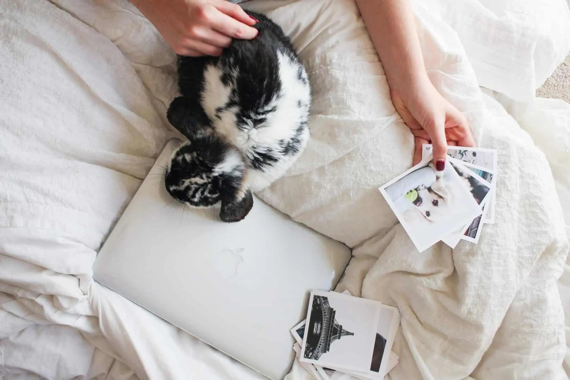 Una persona en la cama con un portátil, un gato acurrucado y fotos impresas alrededor