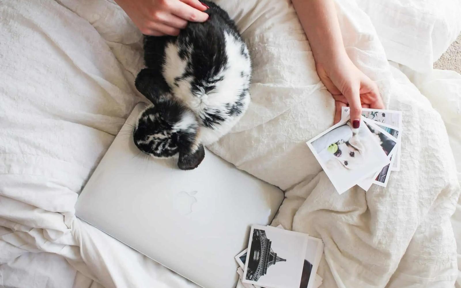 Una persona en la cama con un portátil, un gato acurrucado y fotos impresas alrededor