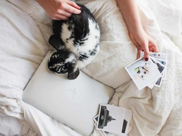 Una persona en la cama con un portátil, un gato acurrucado y fotos impresas alrededor