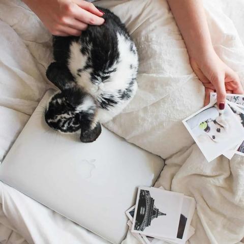 Una persona en la cama con un portátil, un gato acurrucado y fotos impresas alrededor