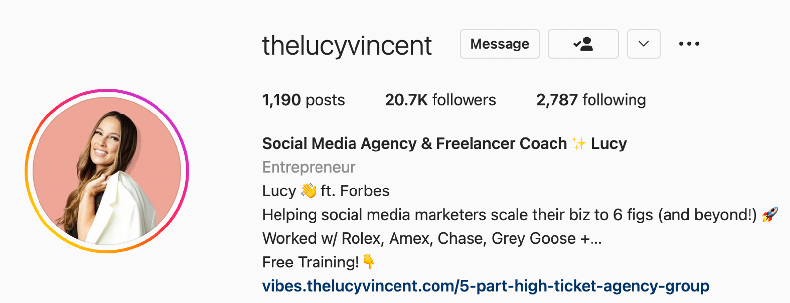 Perfil de Instagram de thelucyvincent con biografía, estadísticas y foto de perfil con anillo rosa y naranja