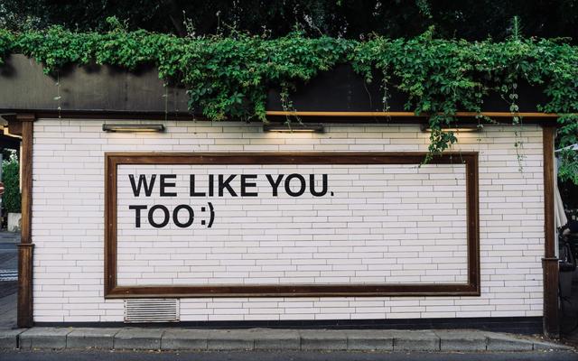 Un letrero enmarcado en una pared de baldosas que dice 'We like you, too :)' bajo enredaderas verdes colgantes
