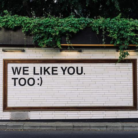 Un letrero enmarcado en una pared de baldosas que dice 'We like you, too :)' bajo enredaderas verdes colgantes