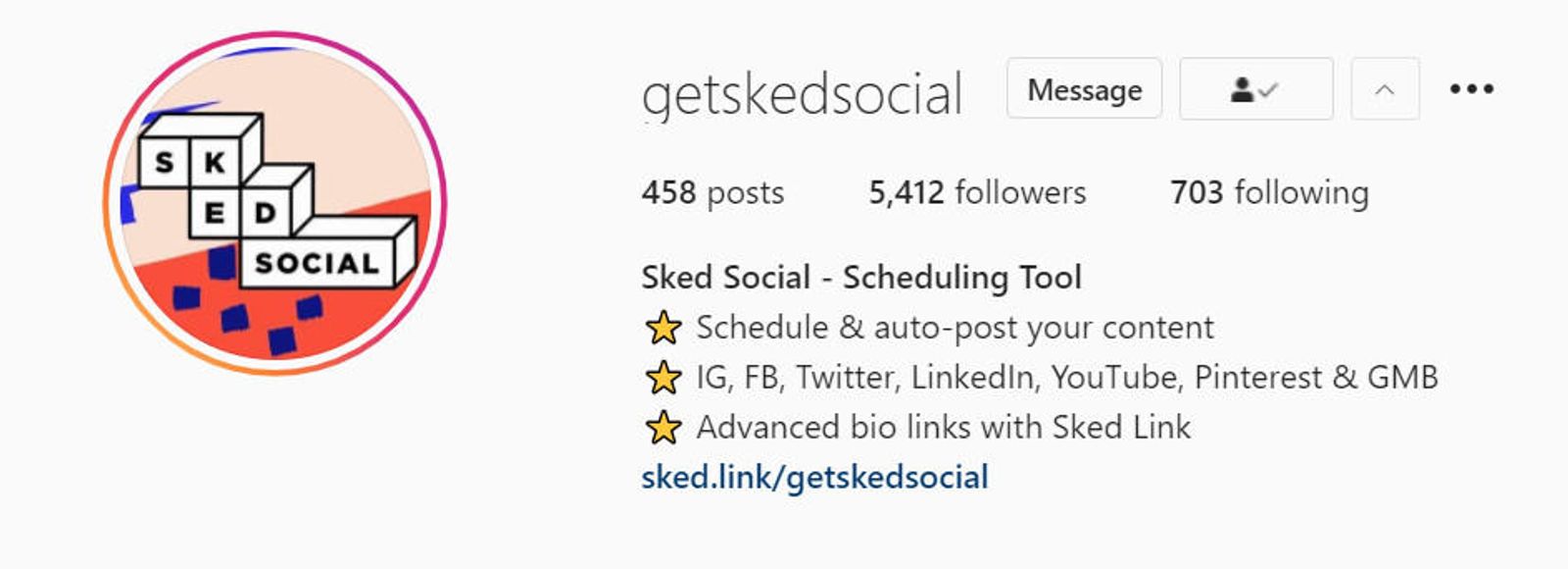 Instagram profile for getskedsocial showing profile picture, follower stats, bio text and a bio link