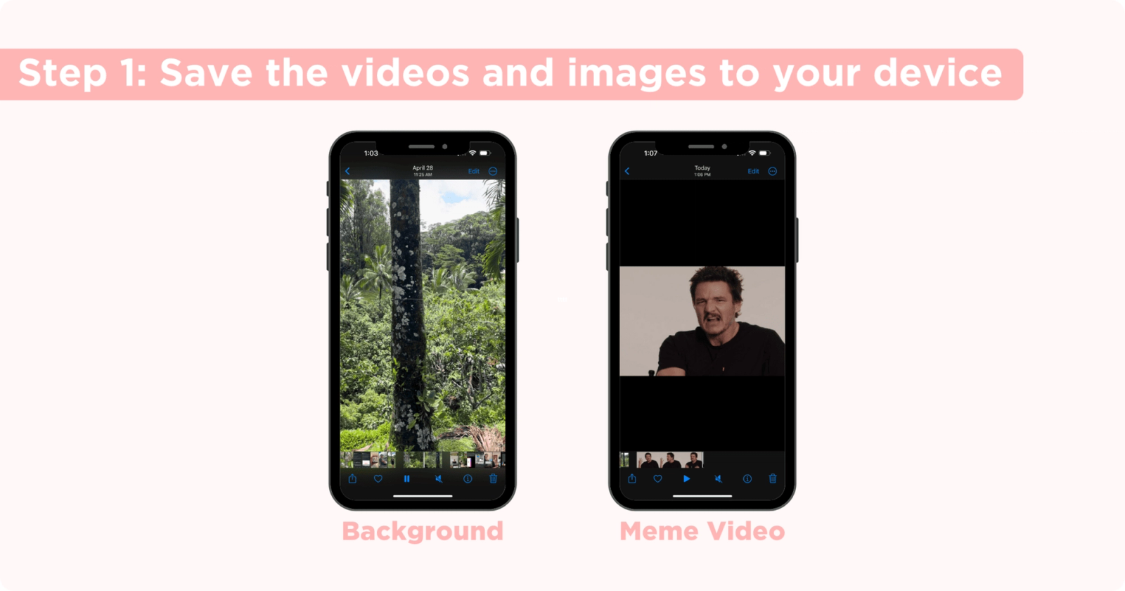 Two phone screens showing a saved tree background photo and a saved meme video clip labeled step 1.