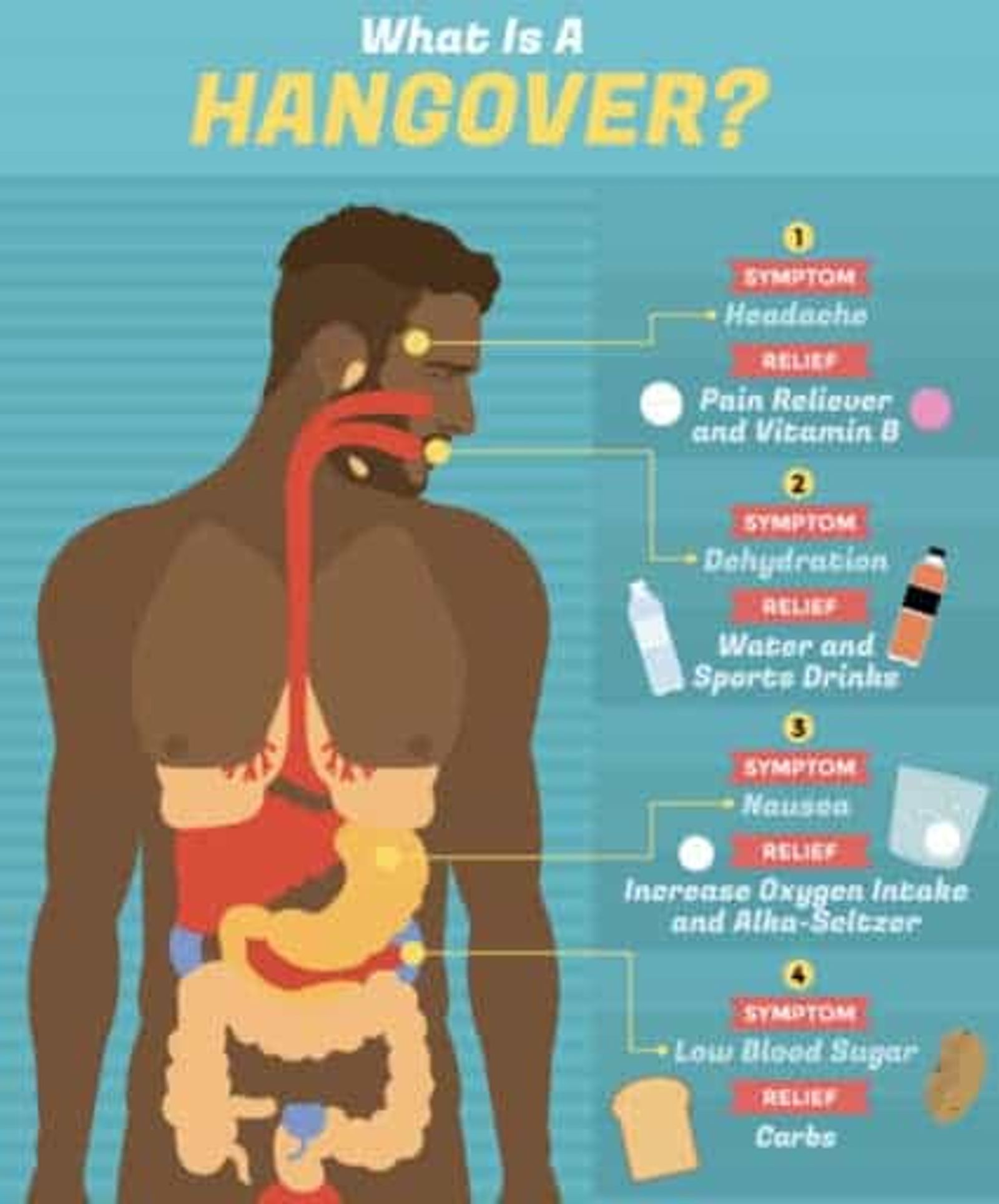 Infografía sobre el traspaso que describe cada etapa de un dolor de cabeza y dónde ocurre en el cuerpo