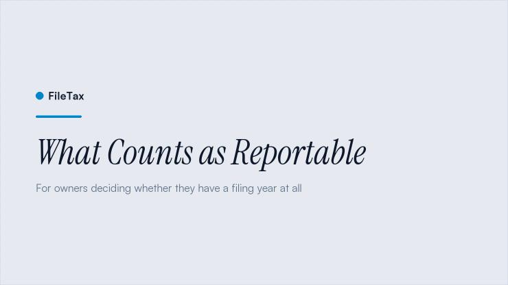 FileTax article card: What Counts as Reportable. For owners deciding whether they have a filing year at all.