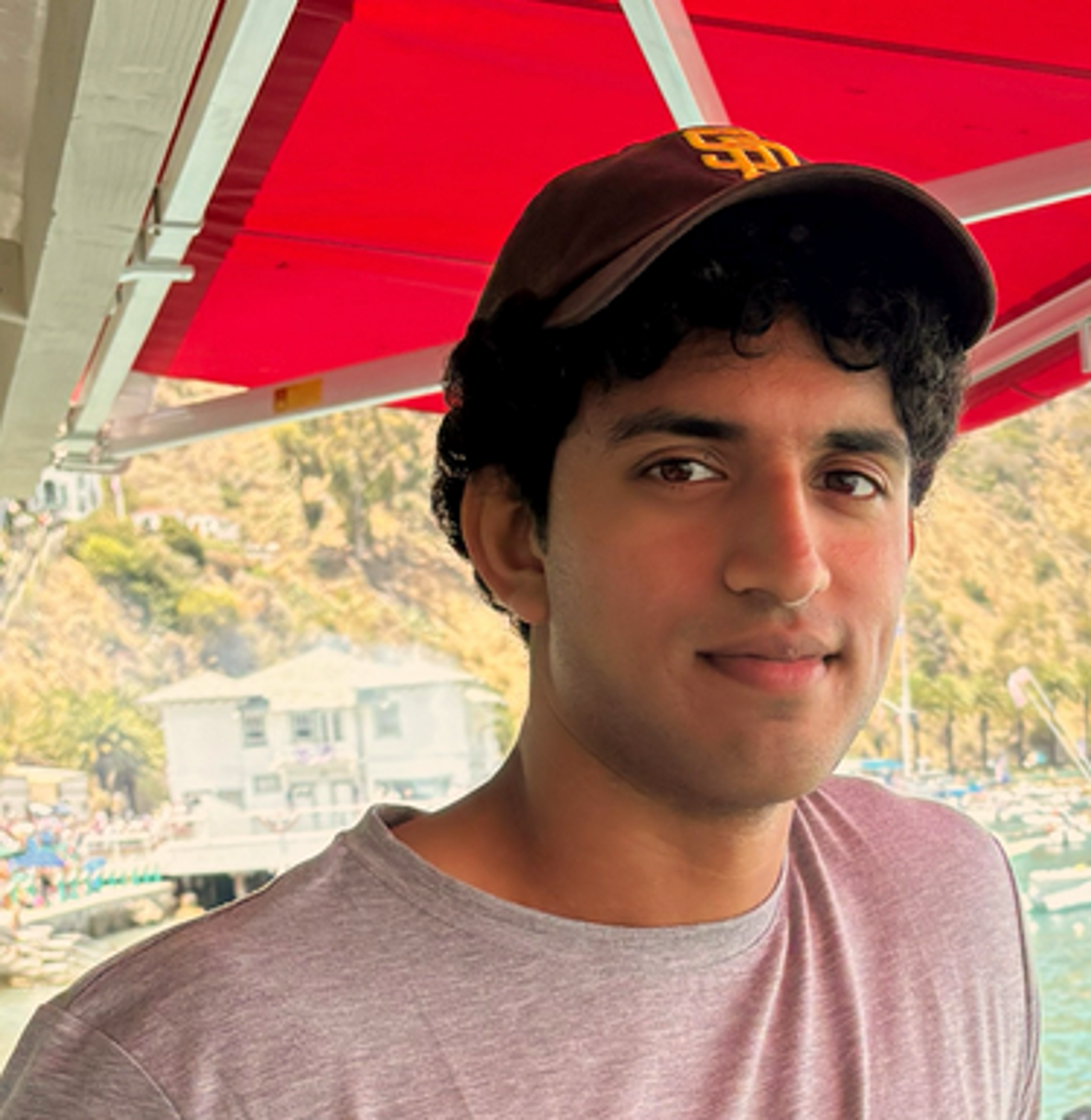 Anish Dulla