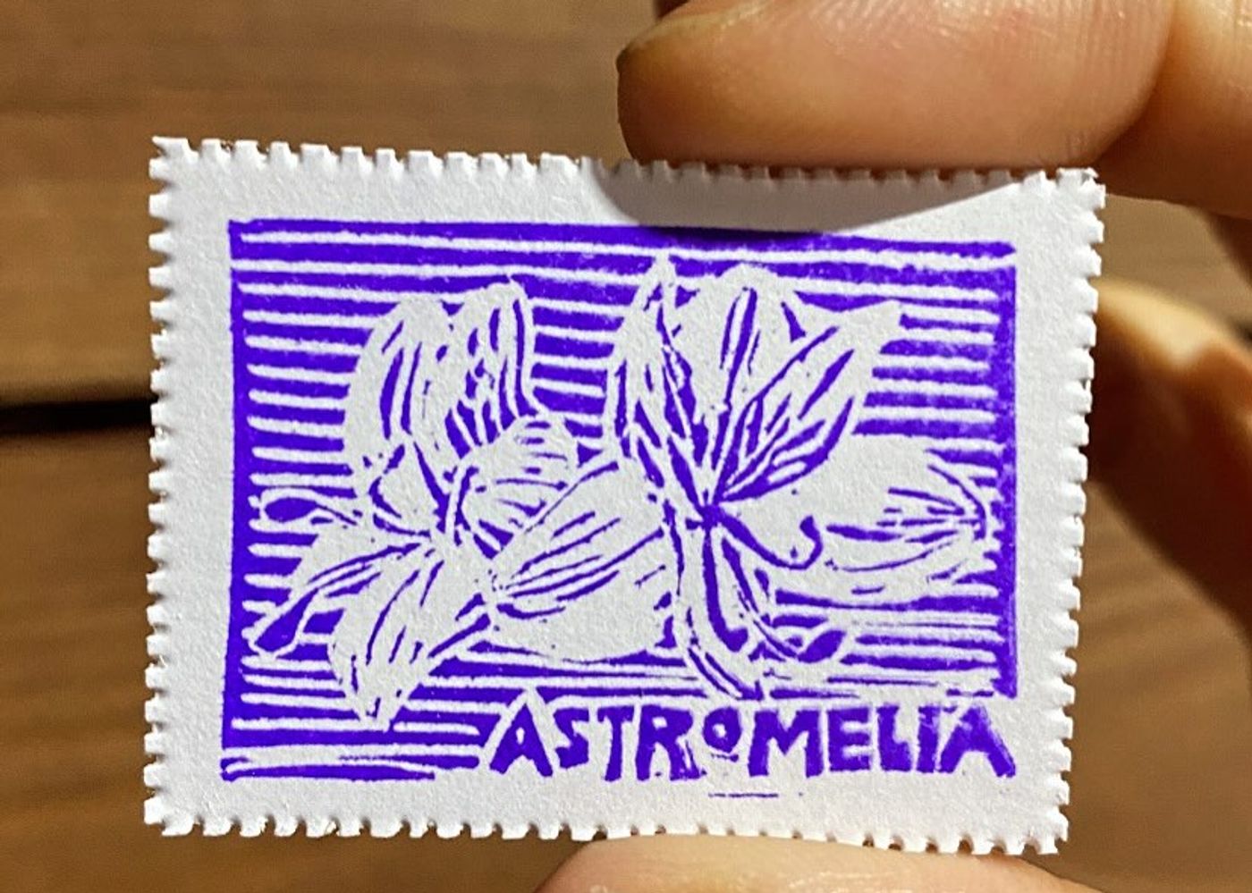 Día 2 — Astromelia - 1