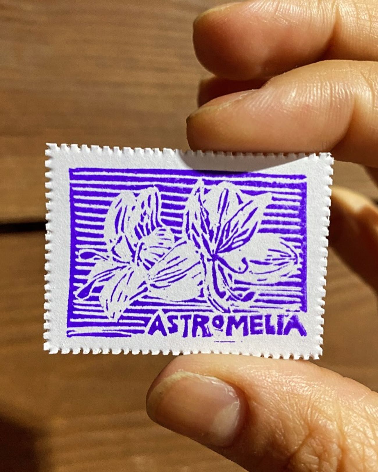 Día 2 — Astromelia - 1