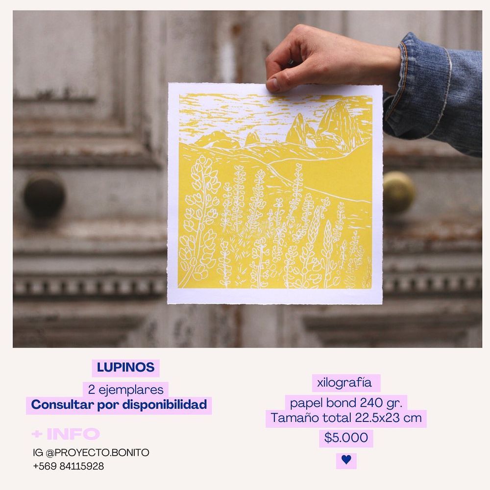Lupinos - 13