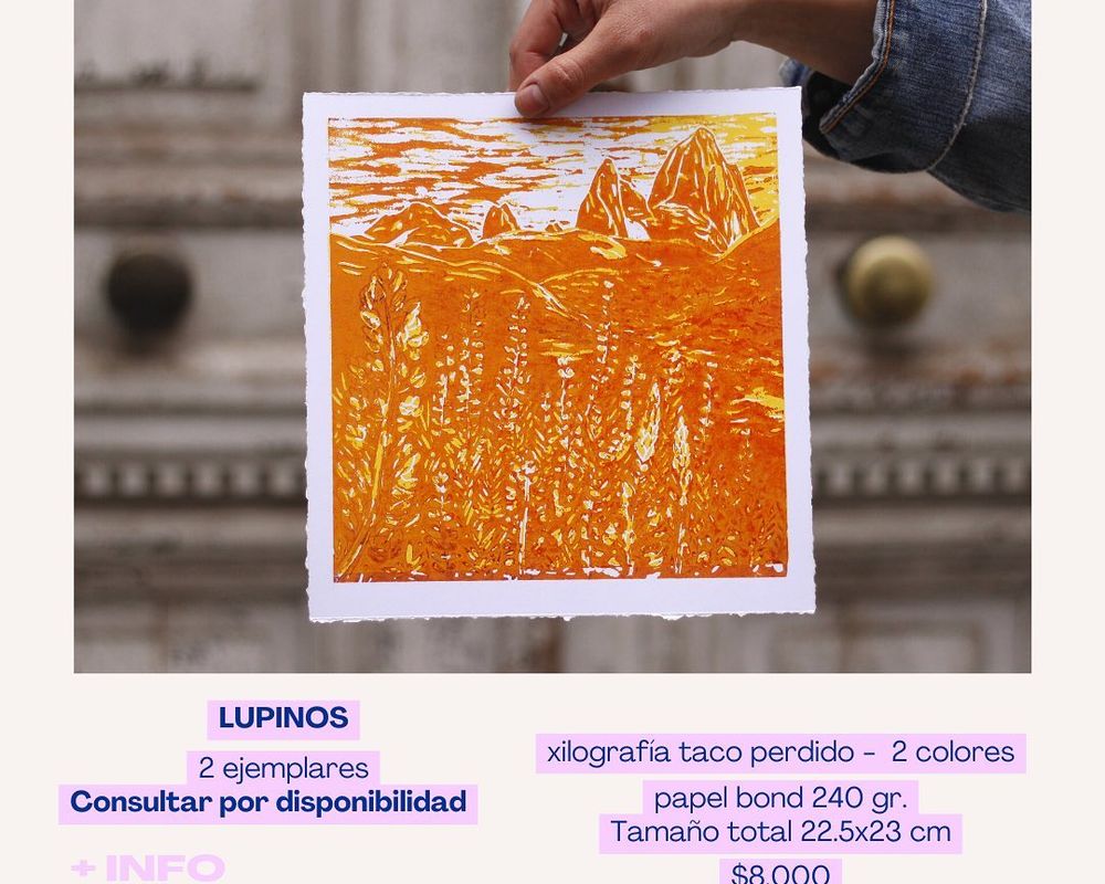 Lupinos - 12
