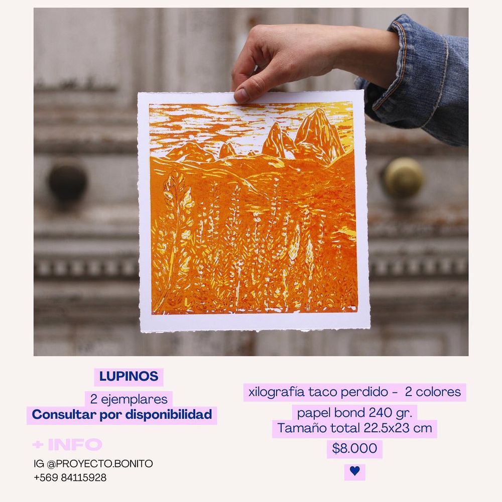 Lupinos - 12