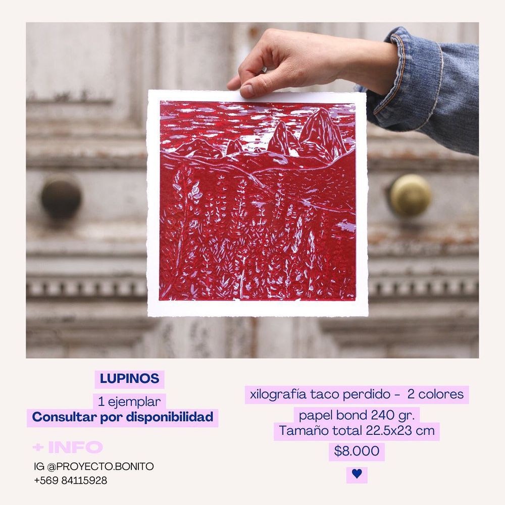 Lupinos - 10