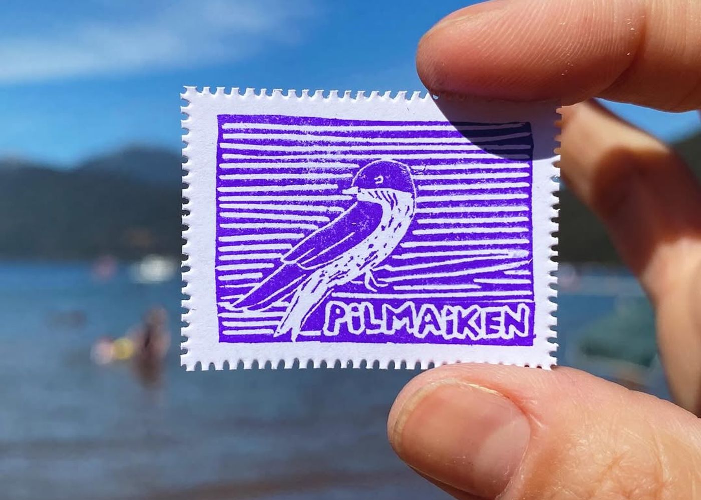 Día 9 — Pilmaiken o golondrina - 1