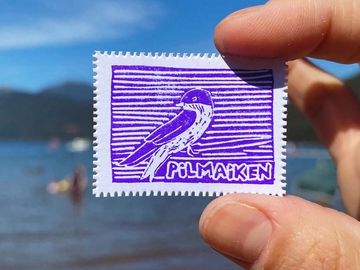 Día 9 — Pilmaiken o golondrina - 1