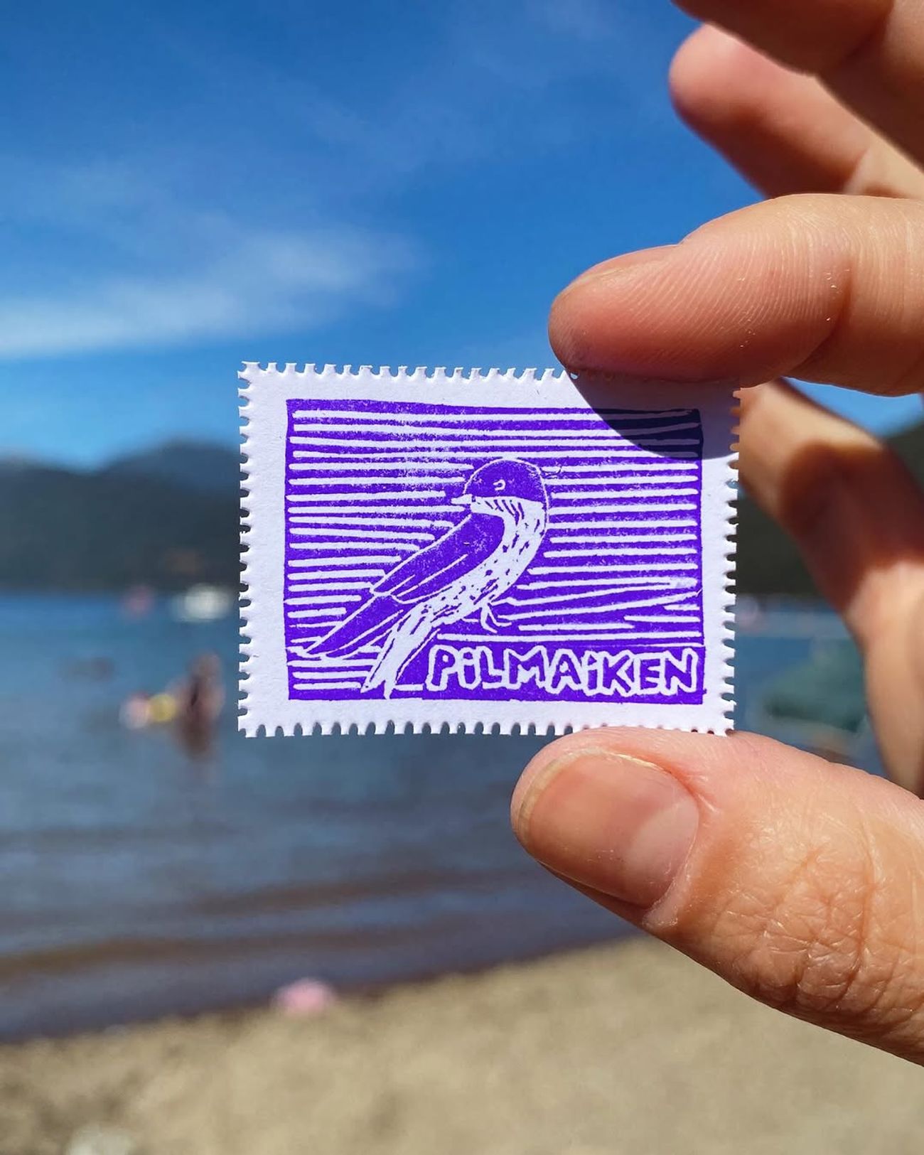 Día 9 — Pilmaiken o golondrina - 1