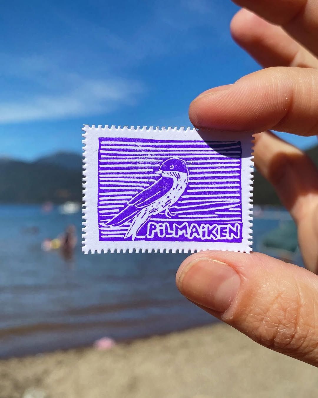 Día 9 — Pilmaiken o golondrina - 1