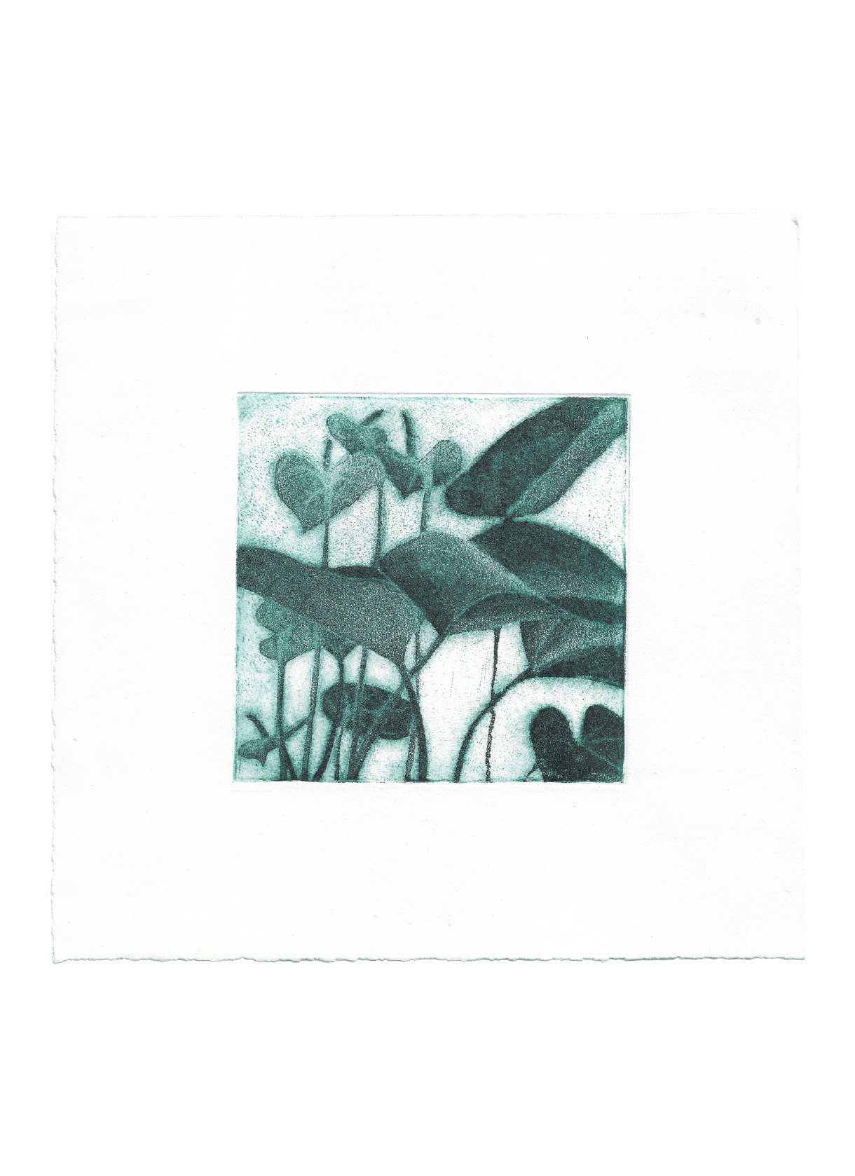 Là où rêvent les ombres