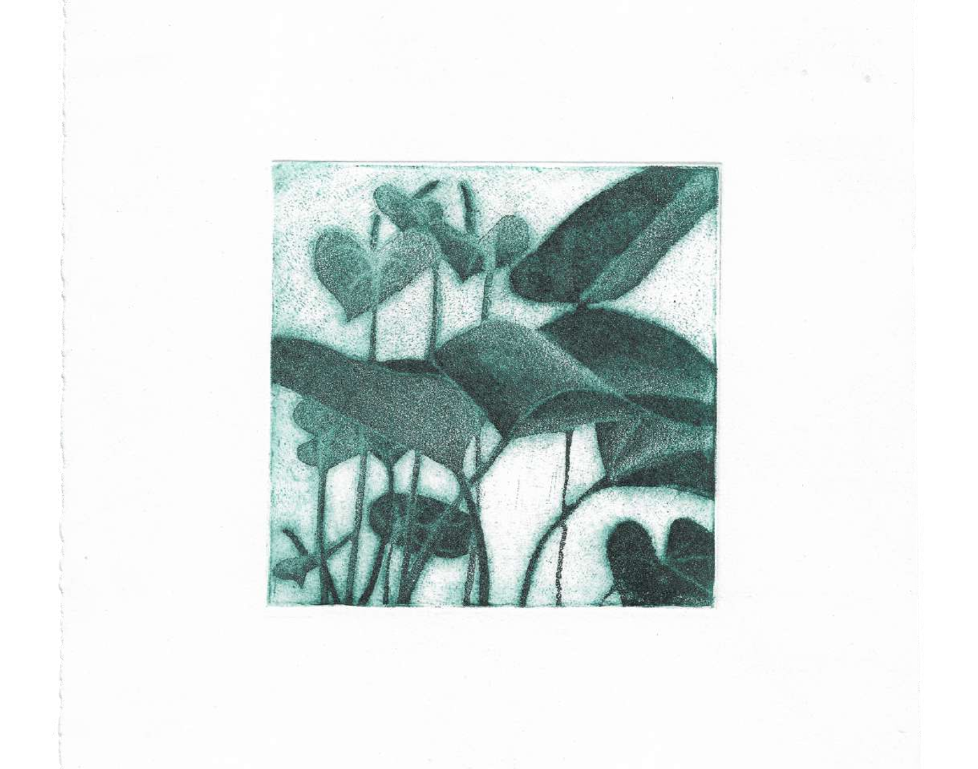 Là où rêvent les ombres